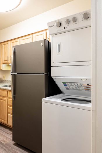 A kitchen with a refrigerator and a dishwasher
